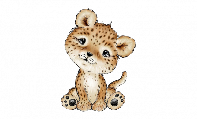 Baby Leopard