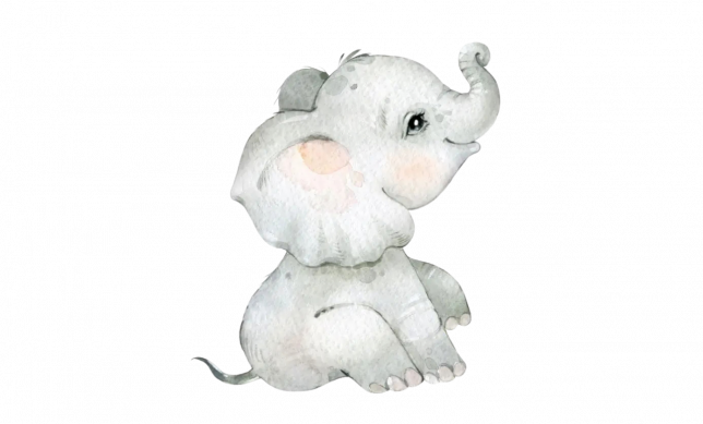 Baby Elephant