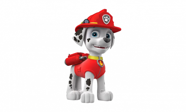 Marshall - Paw patrol